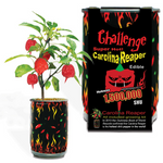 Carolina Reaper Chili Pepper Plant with Can